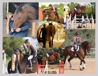 GN Equestrian - Ecuries de pension et cours